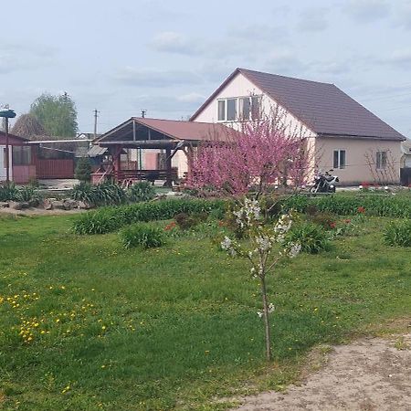 Садиба Зеленого Туризму «Золота Рибка» Medvedevka Exterior foto